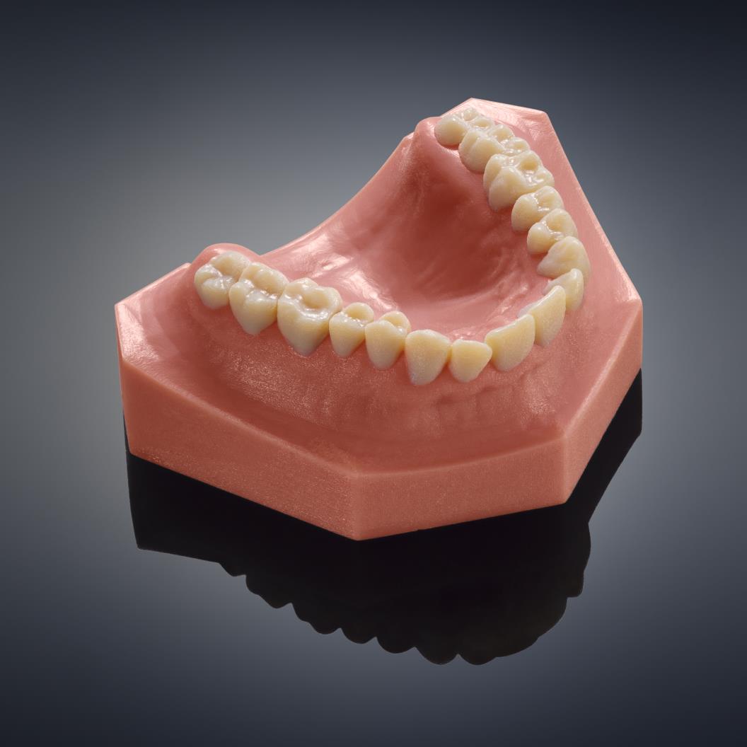 Dental 3D Printers