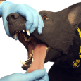 TacMed K9 Simulation